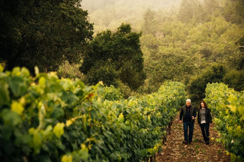 Kristy and Ted walking through a vineyard