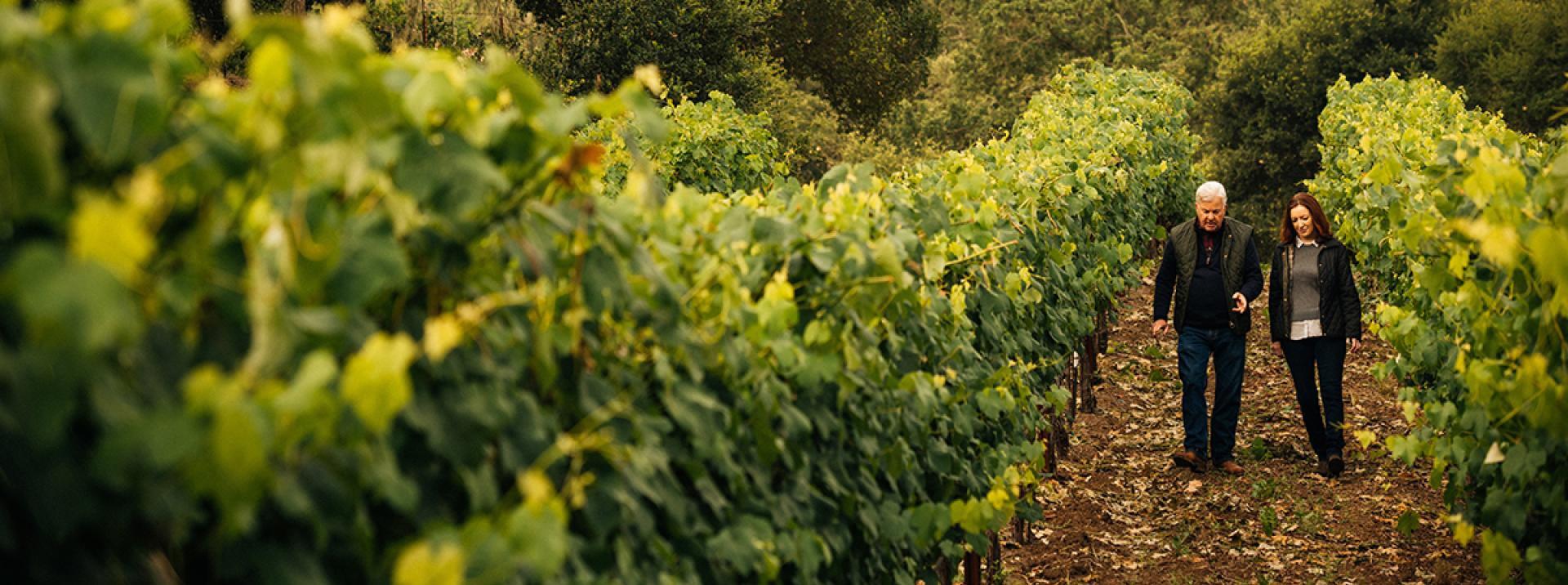 Red Edwards and Kristy walking down a vineyard row