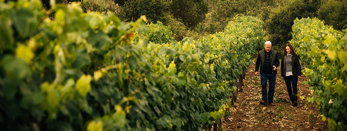 Kristy and Ted Edwards walking in a vineyard